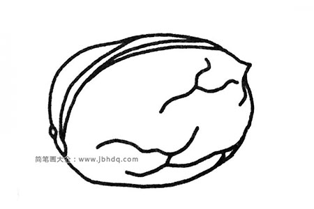 六张核桃简笔画图片