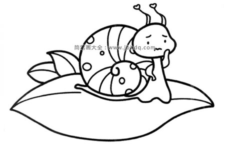 可怜的小蜗牛
