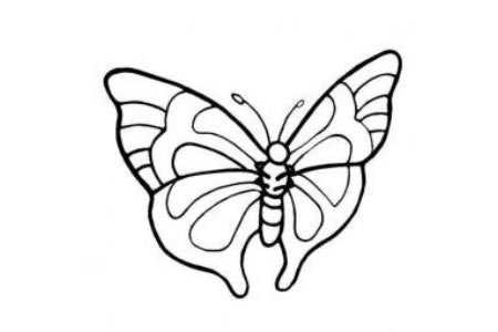 好看的蝴蝶简笔画