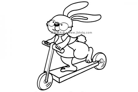 玩滑板车的兔子