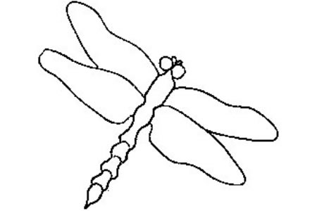 蜻蜓的轮廓画法