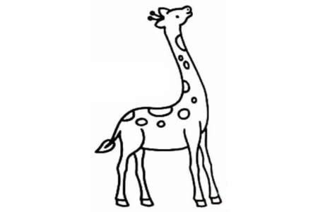 脖子长长的长颈鹿怎么画