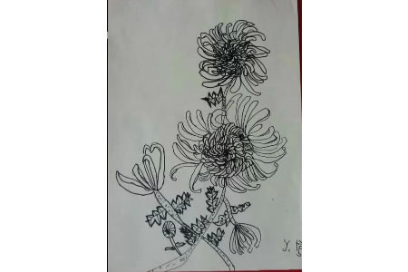 菊花飘香的时节,重阳节赏菊儿童画