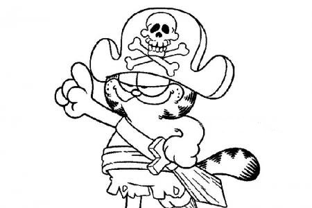 海盗船长加菲猫