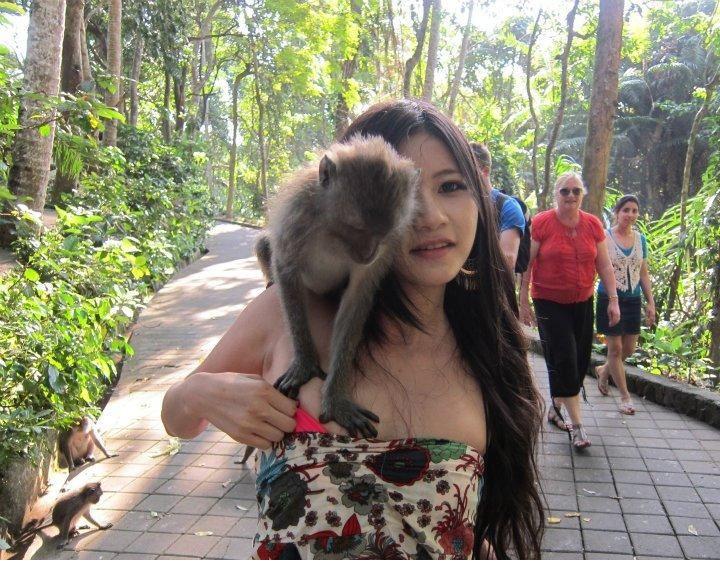 点击大图看下一张：猴抓妹陈维芊遭袭袒胸露乳图片2