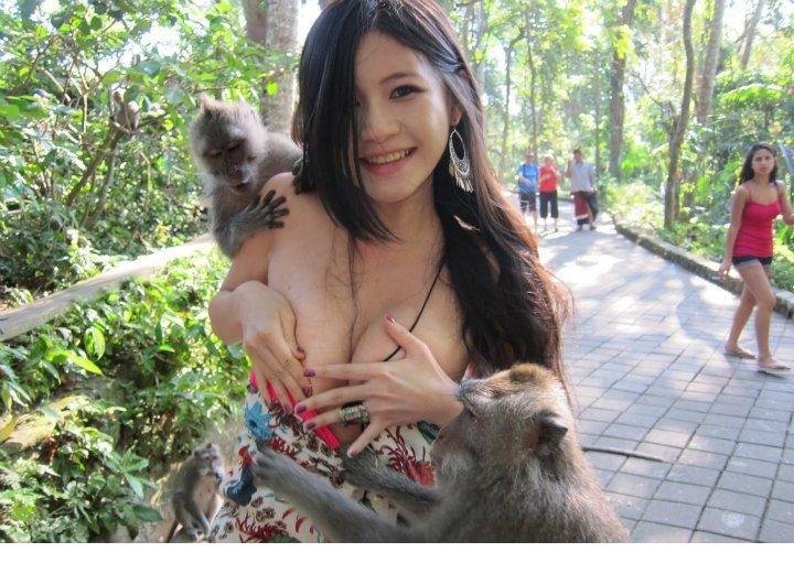 点击大图看下一张：猴抓妹陈维芊遭袭袒胸露乳图片1