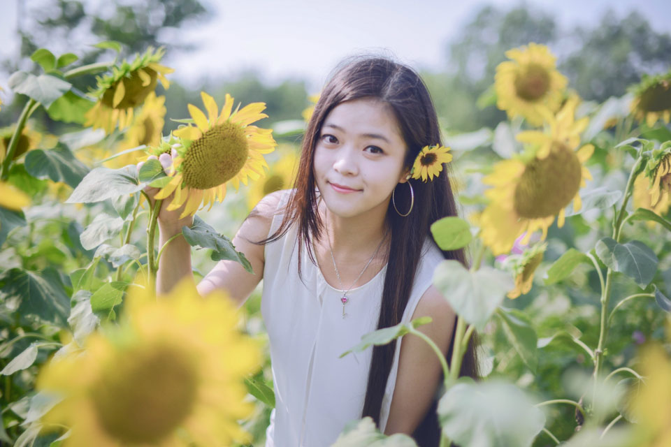 点击大图看下一张：葵花海中的靓丽身影1