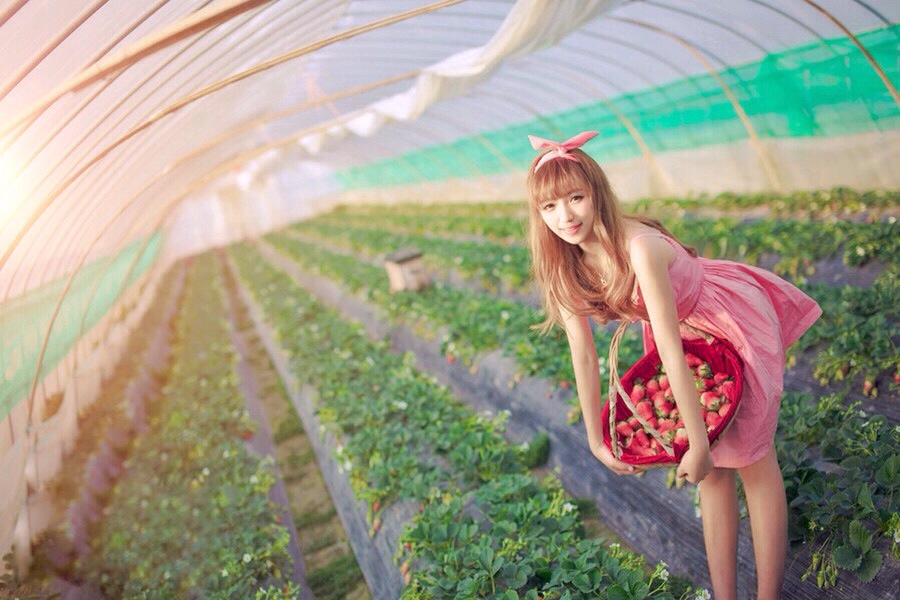 点击大图看下一张：粉系姑娘带你逛草莓园2