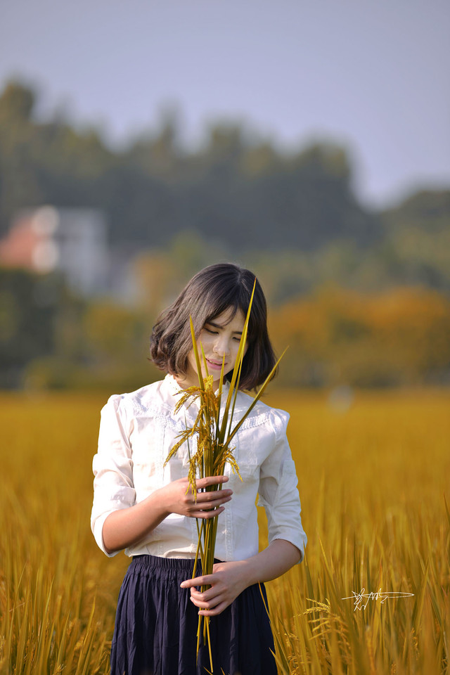 点击大图看下一张：秋日稻田里的文艺姑娘6