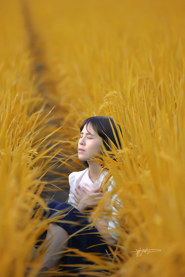 点击大图看下一张：秋日稻田里的文艺姑娘1
