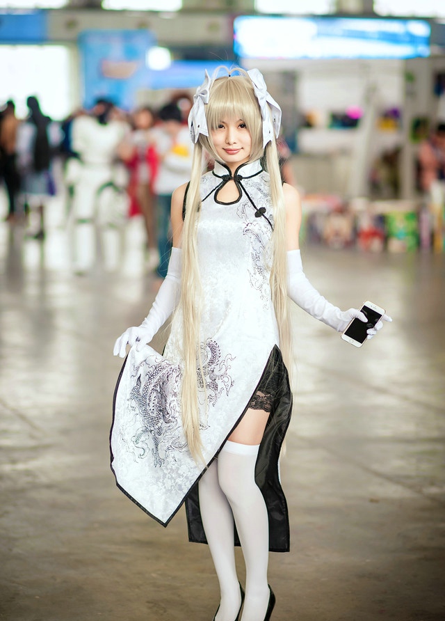 点击大图看下一张：哈尔滨冬季漫展上的美眉1