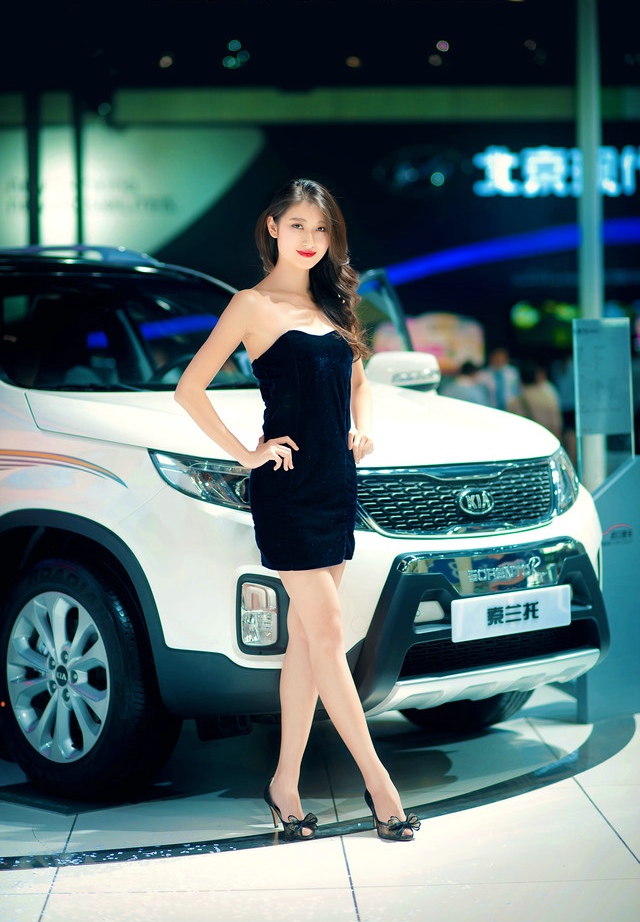 点击大图看下一张：哈尔滨车展上的短裙美眉1