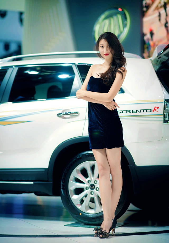 点击大图看下一张：哈尔滨车展上的短裙美眉5
