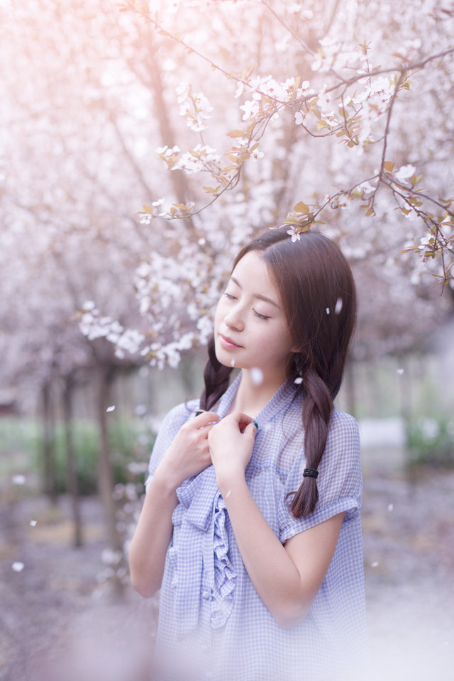 点击大图看下一张：樱花树下的纯情少女6