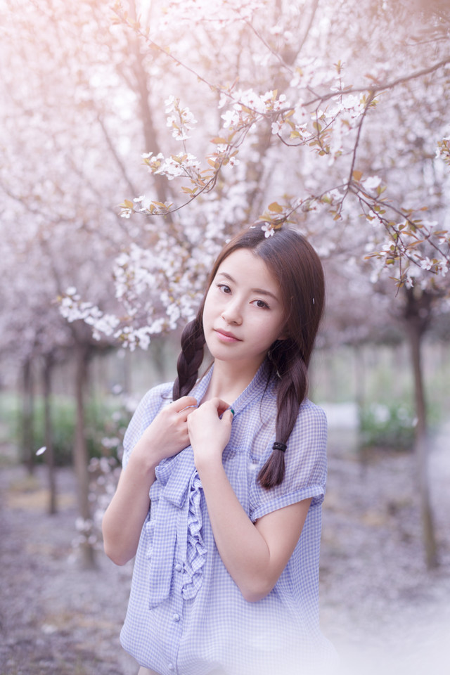 点击大图看下一张：樱花树下的纯情少女1
