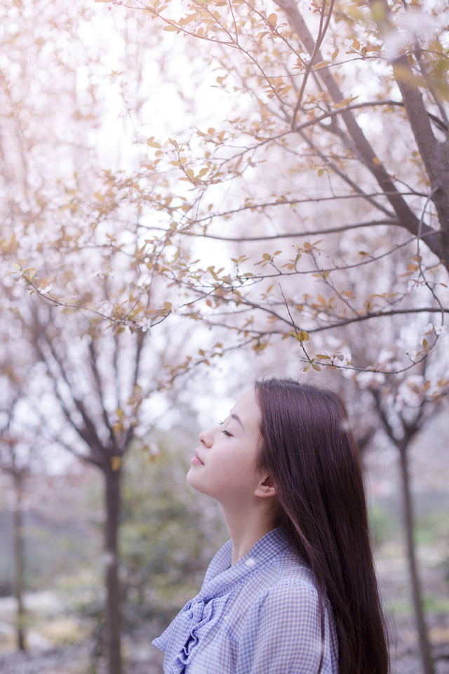 点击大图看下一张：樱花树下的纯情少女5