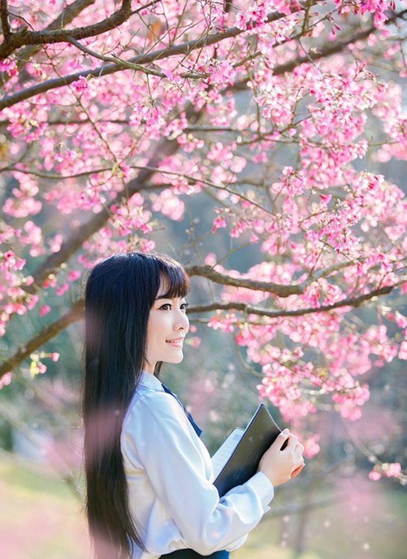 点击大图看下一张：樱花树下的学生制服美女唯美清新2