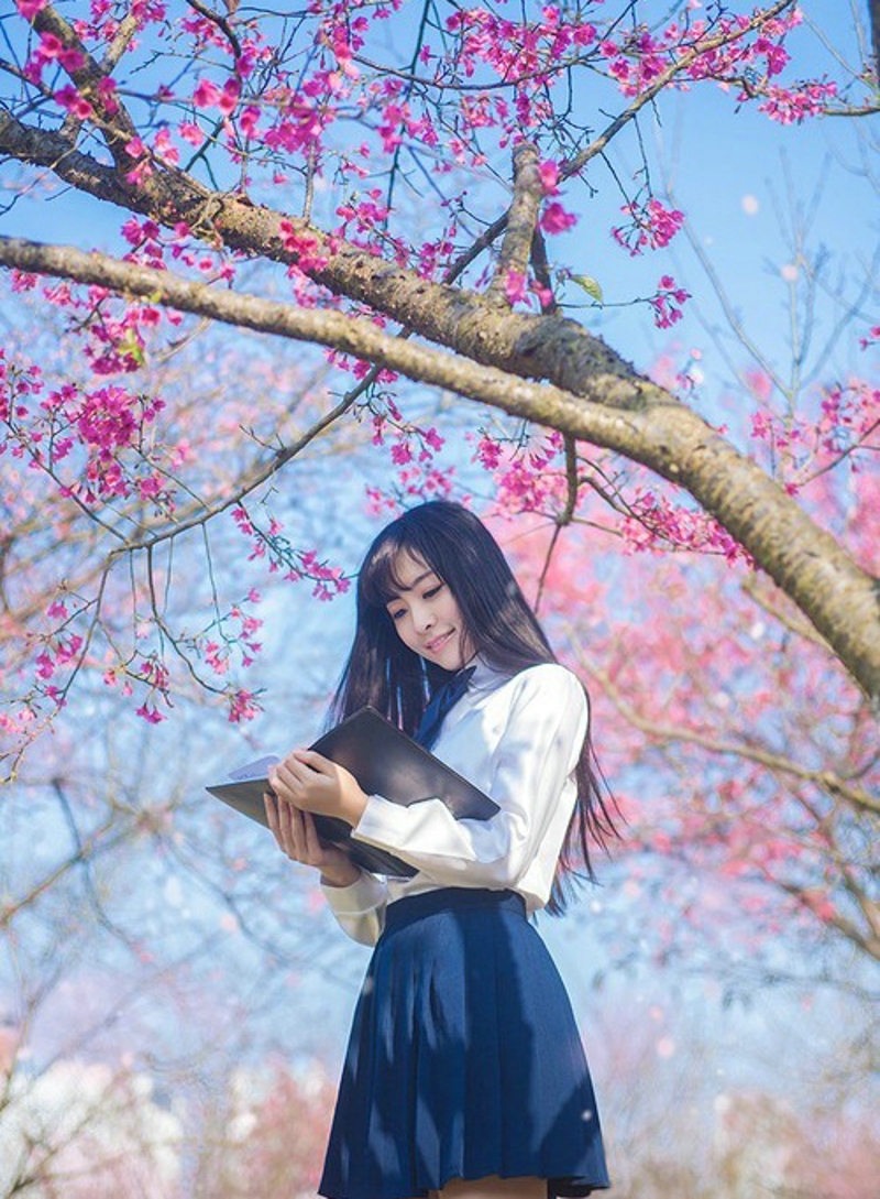 点击大图看下一张：樱花树下的学生制服美女唯美清新6