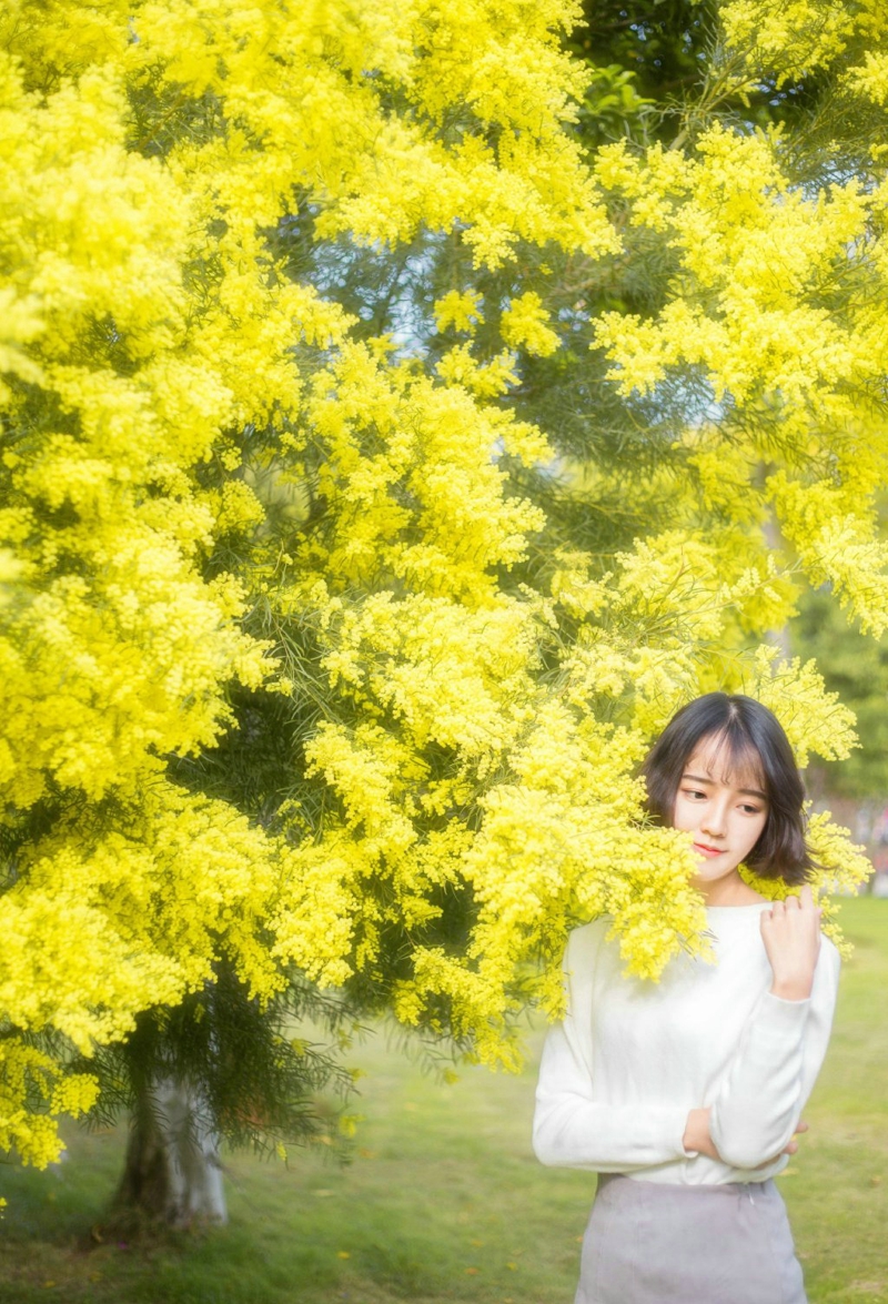 点击大图看下一张：短发韩系女生野外温暖阳光唯美写真