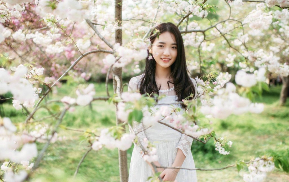 点击大图看下一张：养眼美女樱花树下气质柔美写真