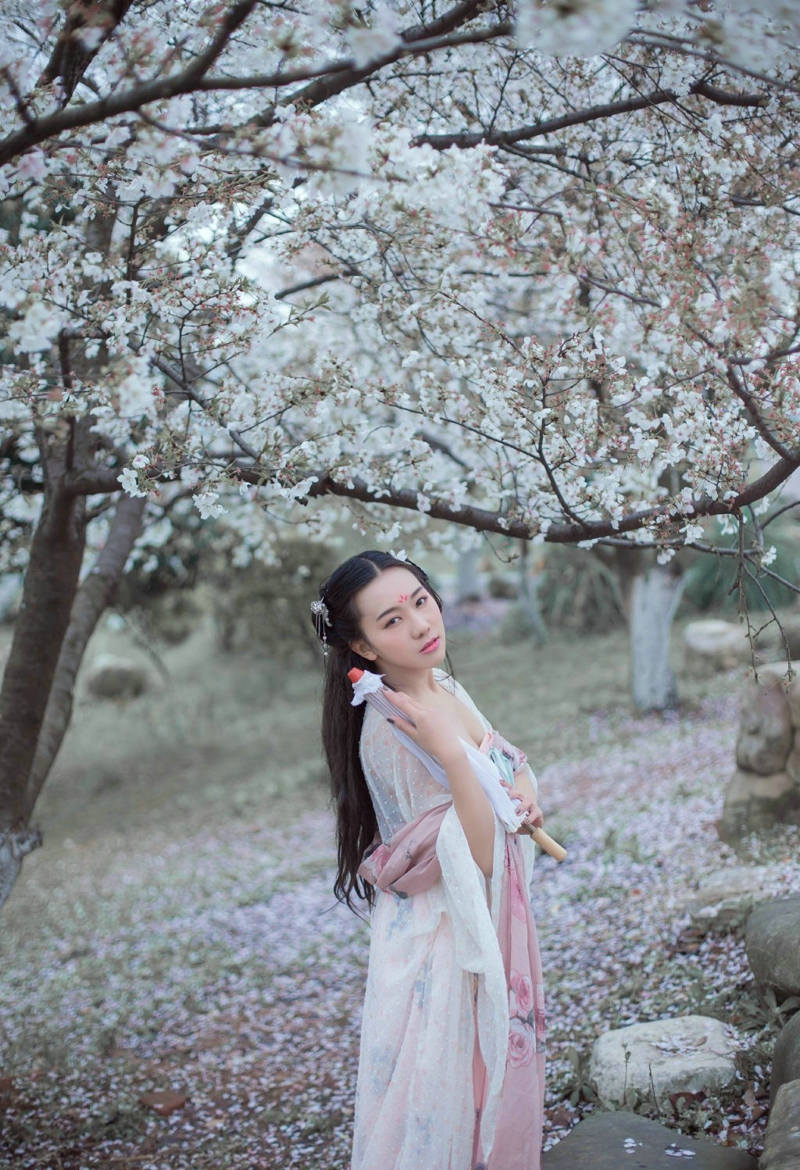 点击大图看下一张：樱花树下的明艳古装美女温婉恬静