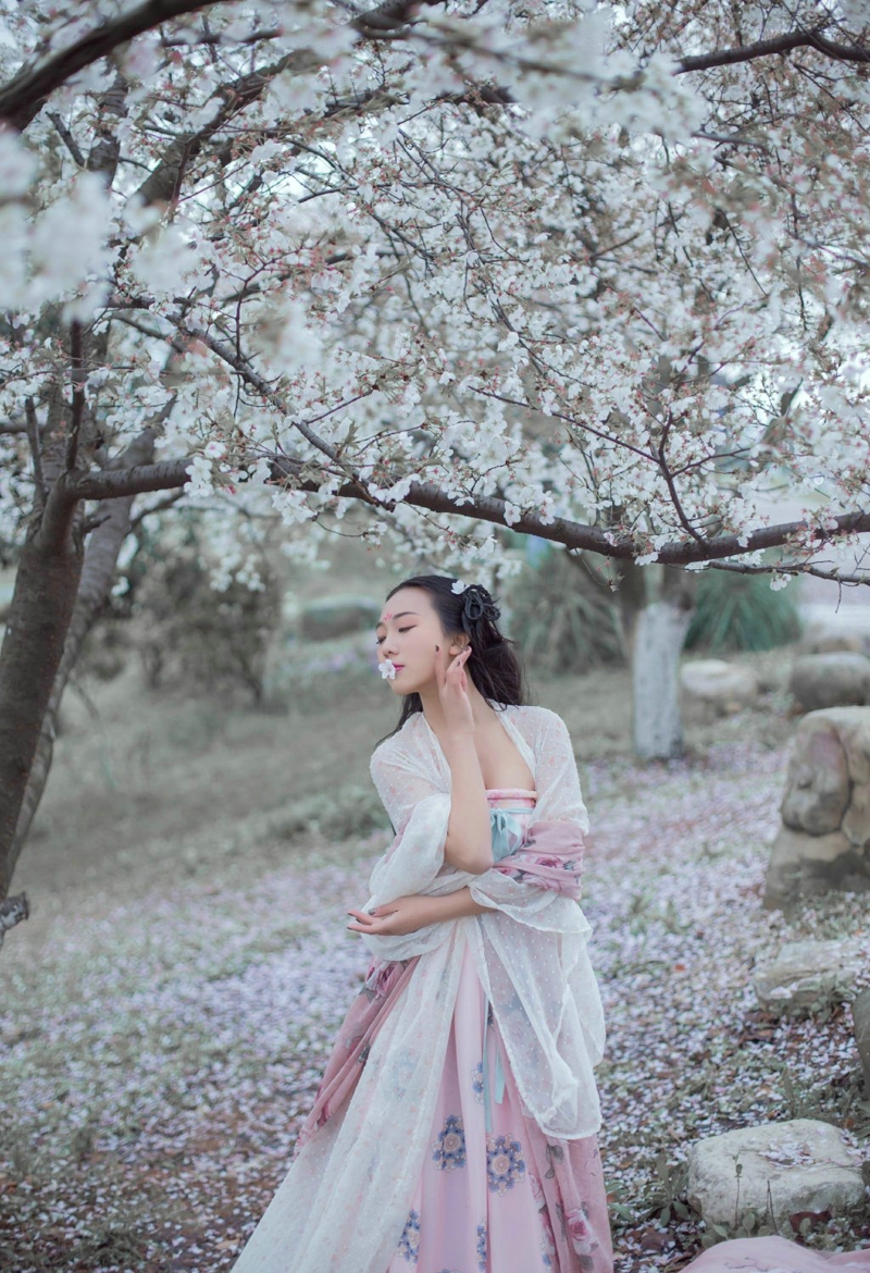 点击大图看下一张：樱花树下的明艳古装美女温婉恬静