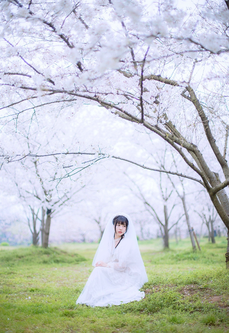 点击大图看下一张：樱花树下的婚纱纯白懵懂迷人妹子