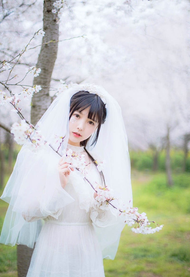 点击大图看下一张：樱花树下的婚纱纯白懵懂迷人妹子