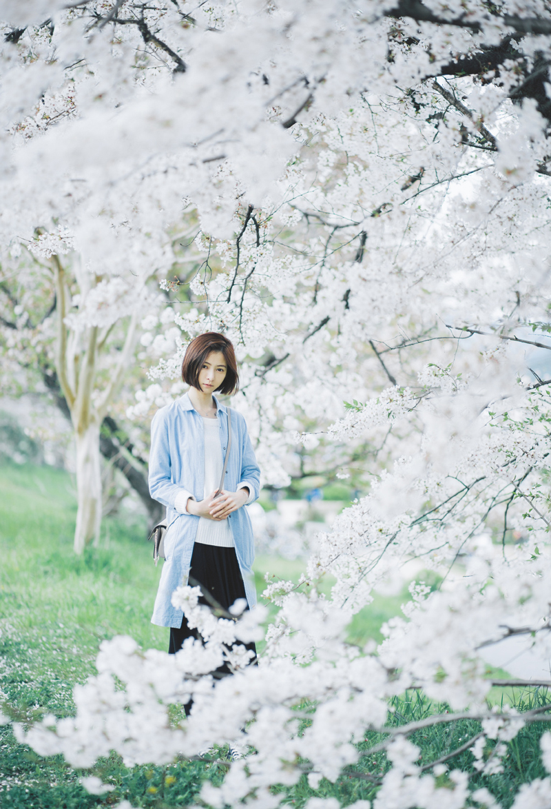 点击大图看下一张：日系少女樱花树下唯美写真