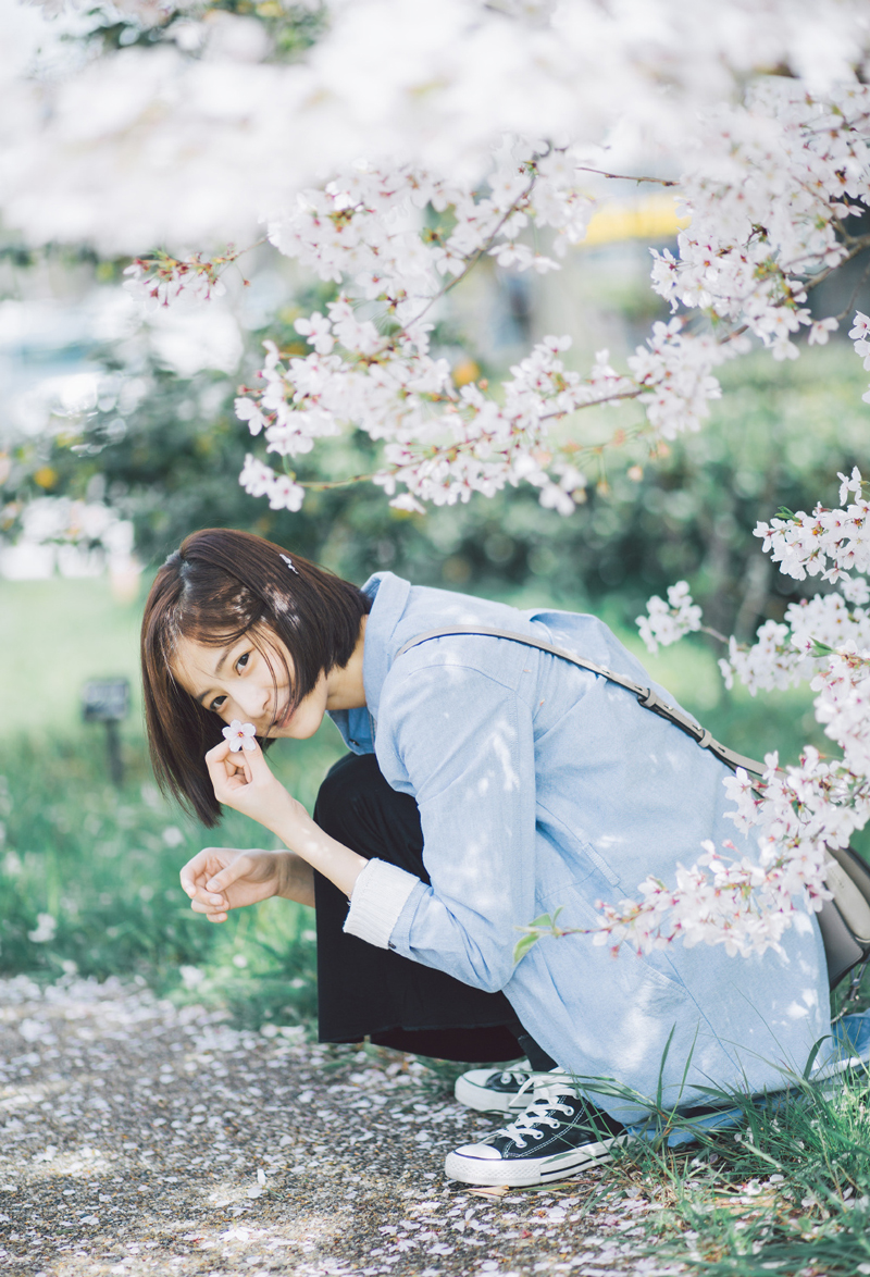点击大图看下一张：日系少女樱花树下唯美写真