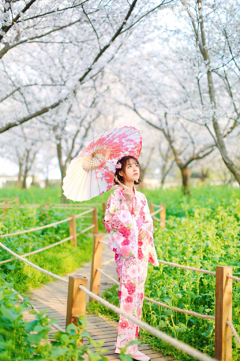 点击大图看下一张：和服美女气质写真樱花丛中美艳动人