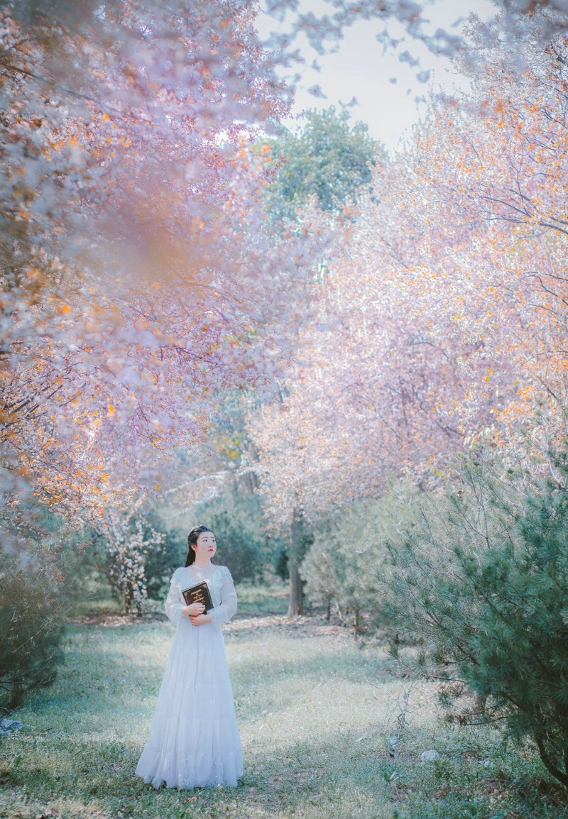 点击大图看下一张：树林里蝴蝶仙子白纱裙轻盈美丽