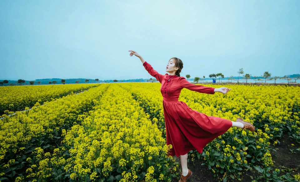 点击大图看下一张：油菜花海中的红裙亮眼女神耀眼动人