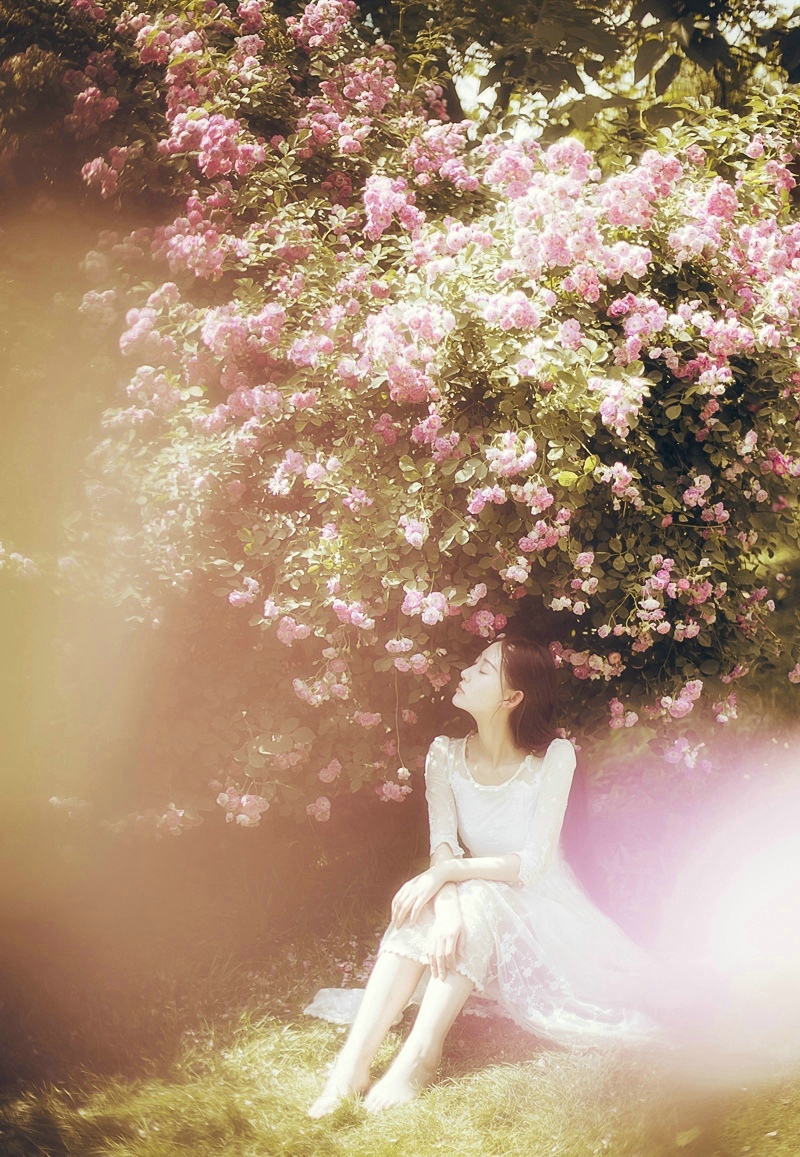 点击大图看下一张：花朵中的白纱恬静温婉女神迷人