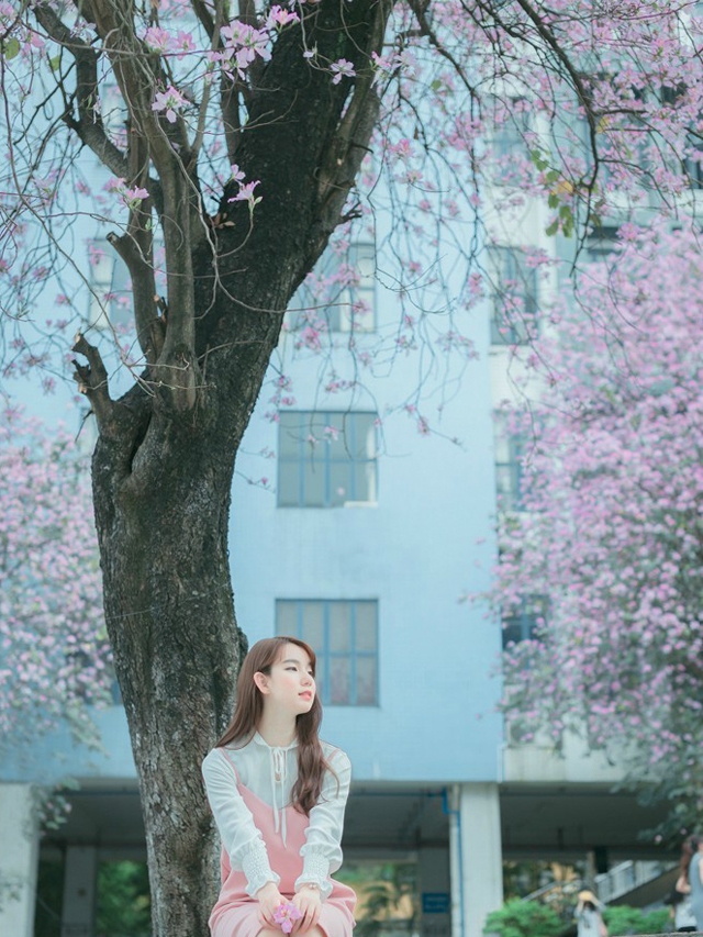 点击大图看下一张：粉嫩少女花树下唯美意境甜美写真