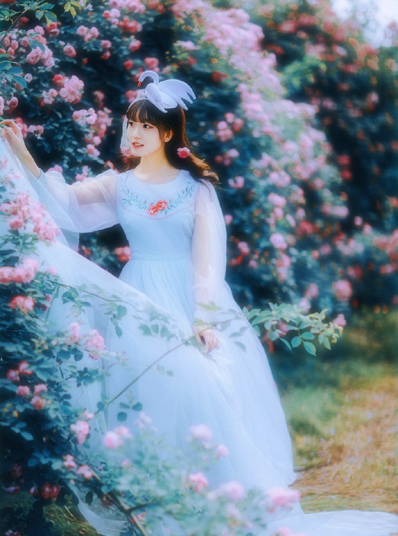 点击大图看下一张：蔷薇少女唯美公主范青纱仙境写真