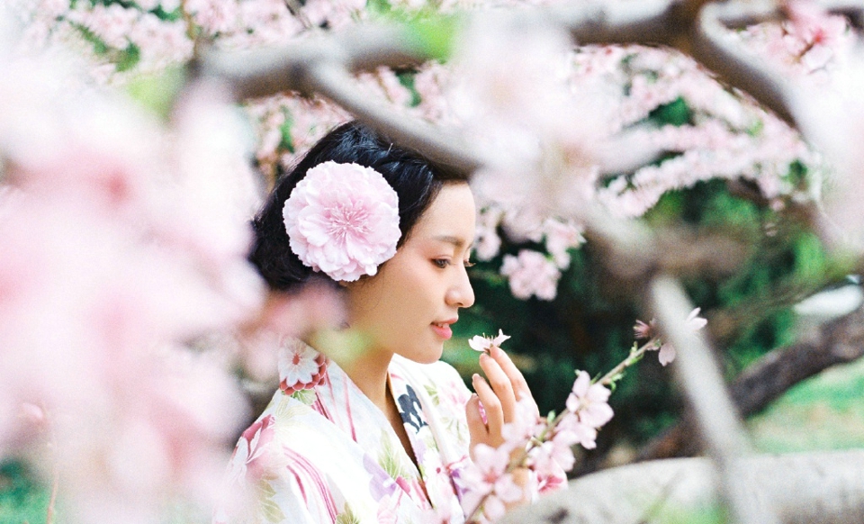 点击大图看下一张：日系美女和服樱花粉红美丽动人