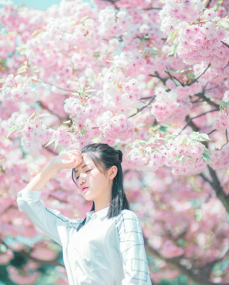 点击大图看下一张：樱花树下眼镜少女甜美可人