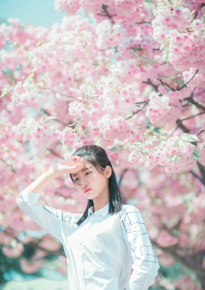 点击大图看下一张：樱花树下眼镜少女甜美可人