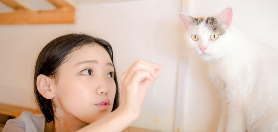 点击大图看下一张：清纯白皙少女室内与宠物可爱写真