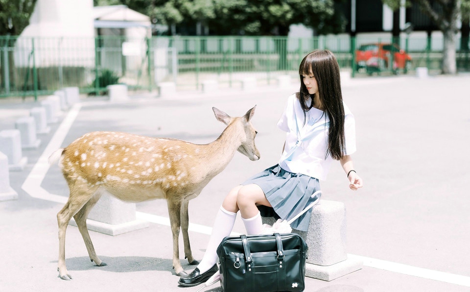 点击大图看下一张：日系美女与梅花鹿玩耍清爽可人