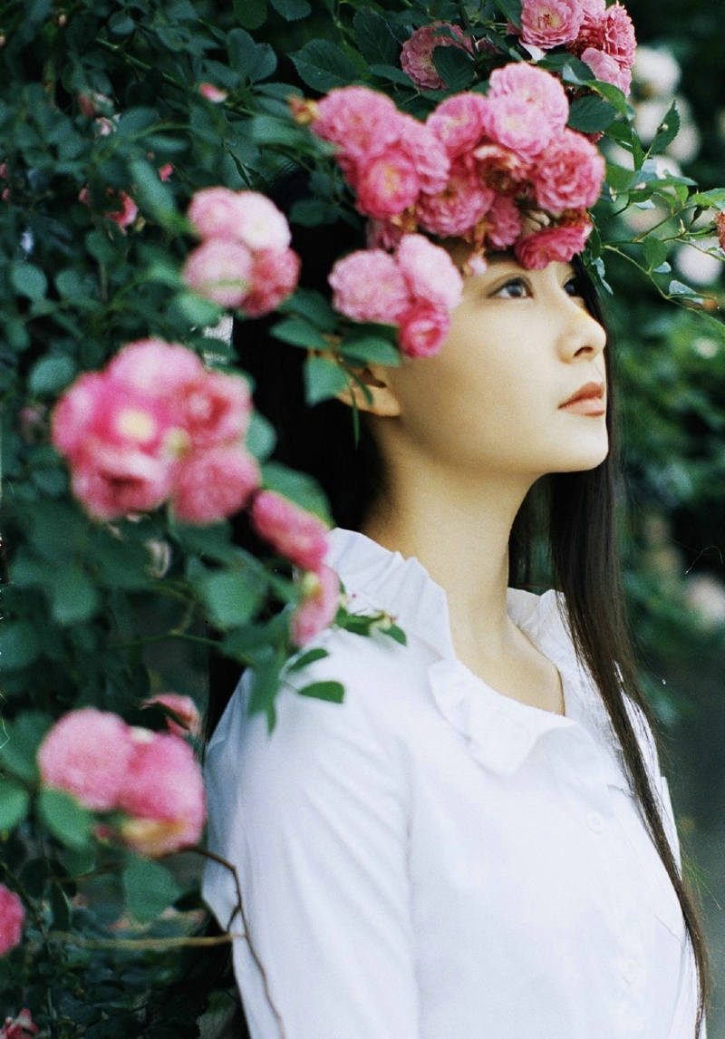 点击大图看下一张：蔷薇花墙下的白衬衫美女寂静动人