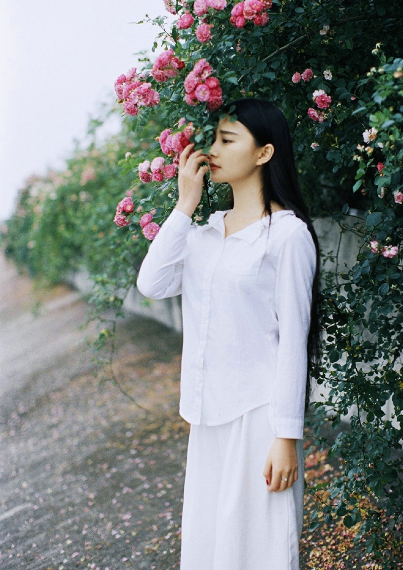 点击大图看下一张：蔷薇花墙下的白衬衫美女寂静动人