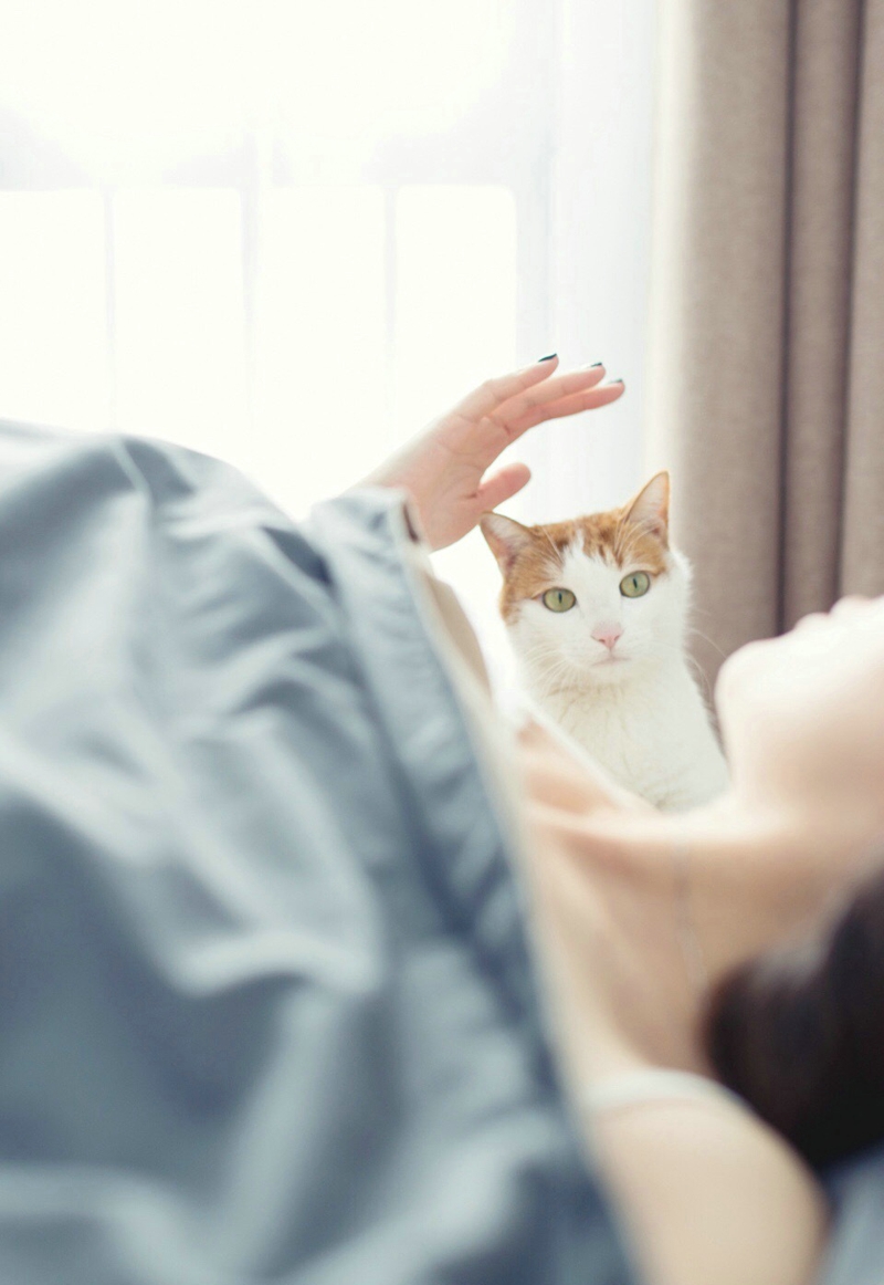 点击大图看下一张：早晨慵懒美女与猫咪玩耍新的一天
