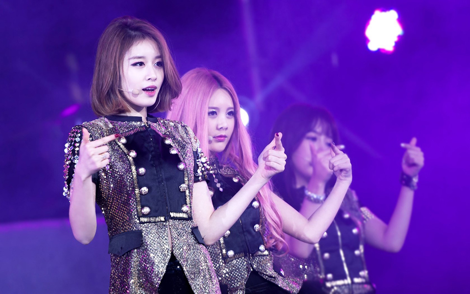 点击大图看下一张：韩国女团T-ara演唱会图片