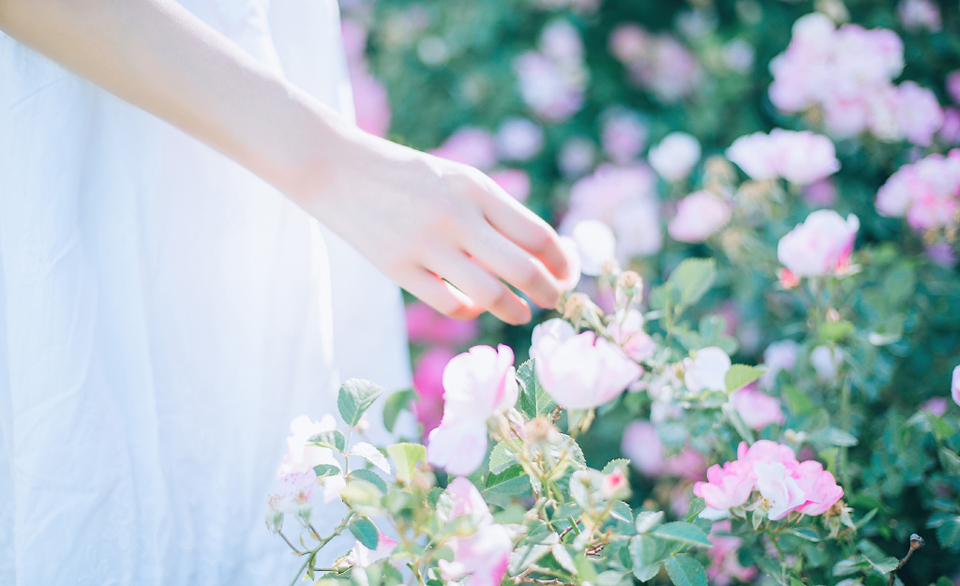 点击大图看下一张：花丛里的花仙子美如天仙