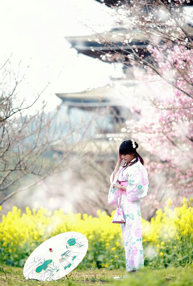 点击大图看下一张：清新樱花树下白皙迷人的和服古风美女写真