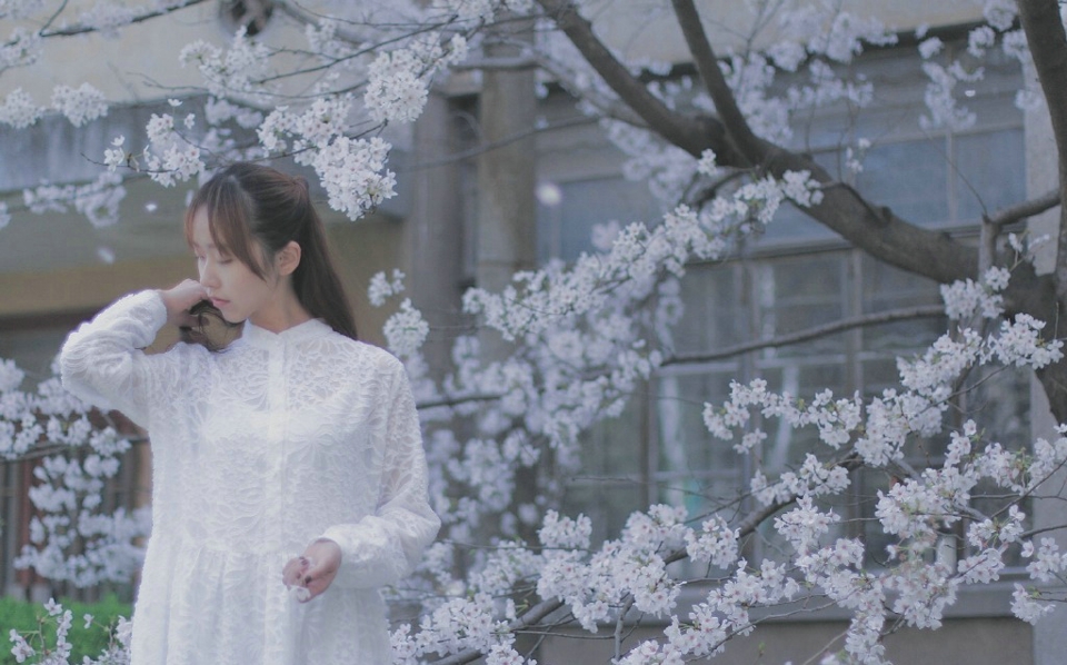 点击大图看下一张:樱花树下的白嫩少女娇美动人