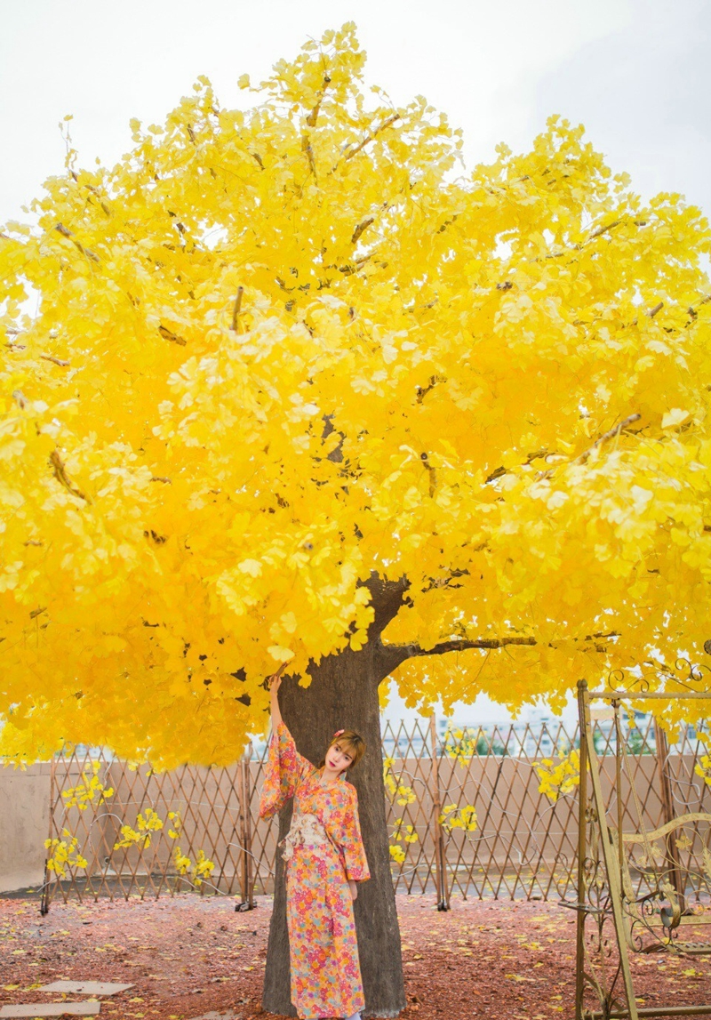 点击大图看下一张：明艳落叶树下的和服美女色彩靓丽