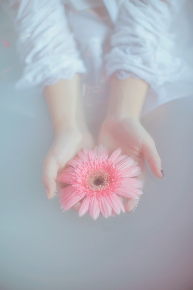 点击大图看下一张：花环美少女湿身粉嫩迷人浴池中花瓣浴写真